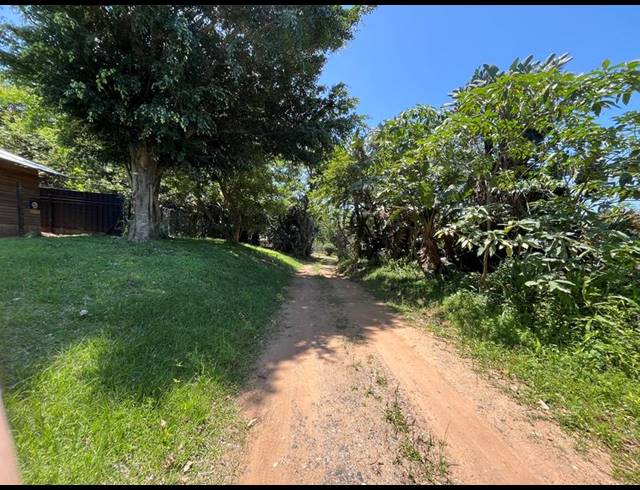 LAND FOR SALE IN PALM BEACH
